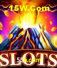 Ofertas Exclusivas 55b.com