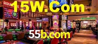 55b.com