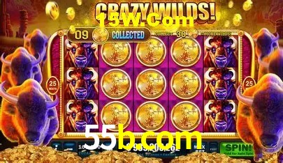 cassino 55b.com