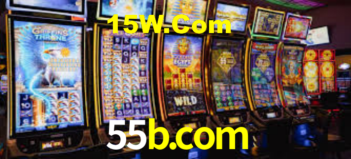 55b.com