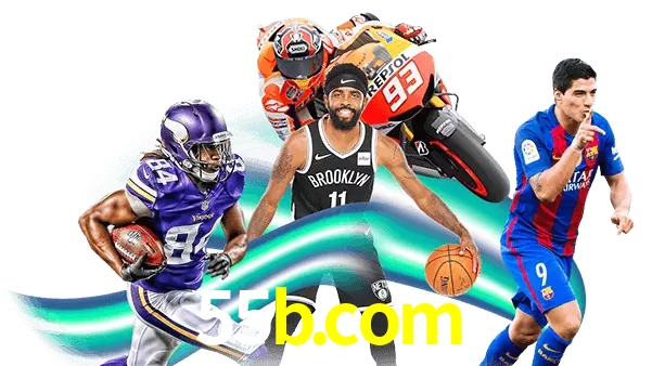 55b.com