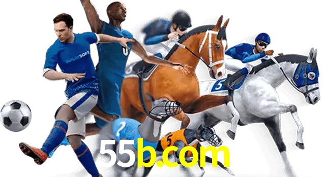 55b.com